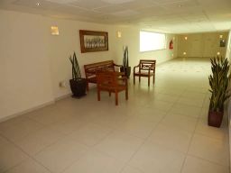 https://img.olx.com.br/thumbs256x256/54/545567880452840.jpg
