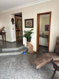 https://img.olx.com.br/thumbs256x256/54/545690424859716.jpg
