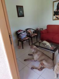 https://img.olx.com.br/thumbs256x256/54/546346921118191.jpg