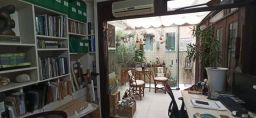 https://img.olx.com.br/thumbs256x256/54/546462395388416.jpg