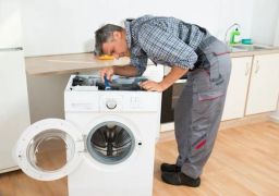 https://img.olx.com.br/thumbs256x256/54/546508030283702.jpg