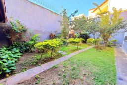 https://img.olx.com.br/thumbs256x256/54/546534151016759.jpg