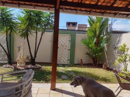 https://img.olx.com.br/thumbs256x256/54/547328680904204.jpg