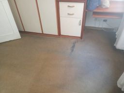 https://img.olx.com.br/thumbs256x256/54/547541645457296.jpg