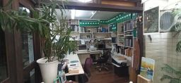https://img.olx.com.br/thumbs256x256/54/548426158920237.jpg