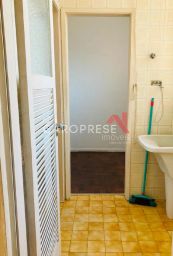 https://img.olx.com.br/thumbs256x256/54/549512407289916.jpg