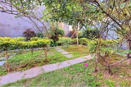 https://img.olx.com.br/thumbs256x256/54/549523156302795.jpg