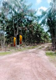 https://img.olx.com.br/thumbs256x256/54/549541169656941.jpg
