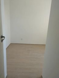 https://img.olx.com.br/thumbs256x256/54/549558155779573.jpg