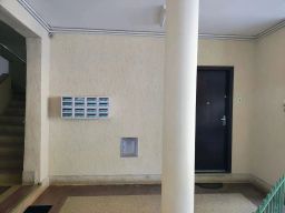 https://img.olx.com.br/thumbs256x256/55/550552645160378.jpg