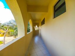 https://img.olx.com.br/thumbs256x256/55/550555400899584.jpg