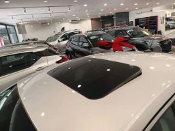 https://img.olx.com.br/thumbs256x256/55/550558876099425.jpg