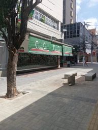 https://img.olx.com.br/thumbs256x256/55/551598166775297.jpg