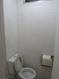 https://img.olx.com.br/thumbs256x256/55/552521391236496.jpg