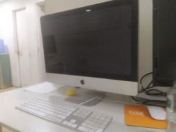 https://img.olx.com.br/thumbs256x256/55/552608328430060.jpg