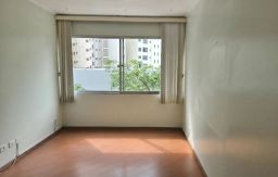 https://img.olx.com.br/thumbs256x256/55/552689322603055.jpg