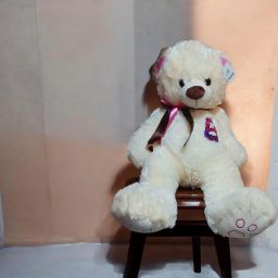 https://img.olx.com.br/thumbs256x256/55/552690782884606.jpg