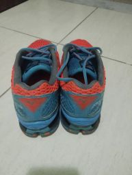 https://img.olx.com.br/thumbs256x256/55/553483686157680.jpg