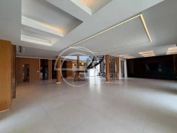 https://img.olx.com.br/thumbs256x256/55/553508045275854.jpg