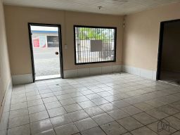 https://img.olx.com.br/thumbs256x256/55/553516519213104.jpg