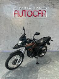 https://img.olx.com.br/thumbs256x256/55/553681324966452.jpg