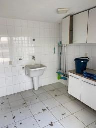 https://img.olx.com.br/thumbs256x256/55/554503524708471.jpg
