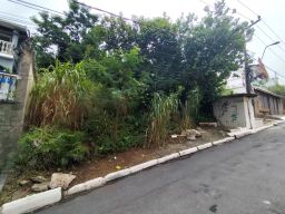 https://img.olx.com.br/thumbs256x256/55/554527039953388.jpg