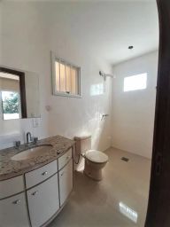 https://img.olx.com.br/thumbs256x256/55/555508282927752.jpg