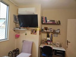 https://img.olx.com.br/thumbs256x256/55/555516284855039.jpg