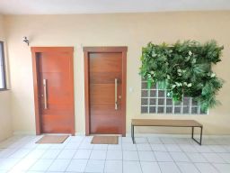 https://img.olx.com.br/thumbs256x256/55/555517641637399.jpg