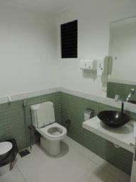 https://img.olx.com.br/thumbs256x256/55/556312923430435.jpg