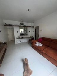 https://img.olx.com.br/thumbs256x256/55/556529887827375.jpg