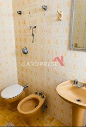 https://img.olx.com.br/thumbs256x256/55/556555282450981.jpg