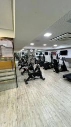 https://img.olx.com.br/thumbs256x256/55/556560287393646.jpg