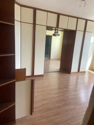 https://img.olx.com.br/thumbs256x256/55/556596407529482.jpg