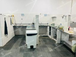 https://img.olx.com.br/thumbs256x256/55/556647780550664.jpg