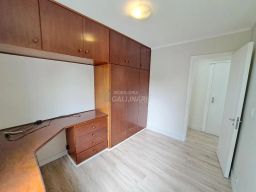https://img.olx.com.br/thumbs256x256/55/557504520291204.jpg