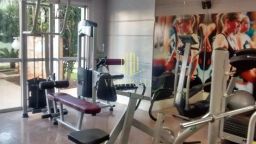 https://img.olx.com.br/thumbs256x256/55/557513408419728.jpg