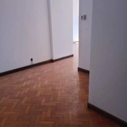 https://img.olx.com.br/thumbs256x256/55/557520758929076.jpg