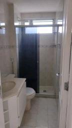 https://img.olx.com.br/thumbs256x256/55/557557042702956.jpg