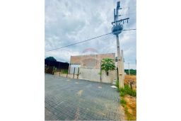 https://img.olx.com.br/thumbs256x256/55/558554044407966.jpg