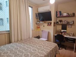 https://img.olx.com.br/thumbs256x256/55/558576406461764.jpg