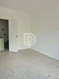 https://img.olx.com.br/thumbs256x256/55/558584277553043.jpg