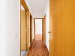 https://img.olx.com.br/thumbs256x256/55/558658565088471.jpg