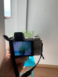 https://img.olx.com.br/thumbs256x256/55/558690193278964.jpg