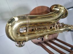 https://img.olx.com.br/thumbs256x256/55/559524406695818.jpg