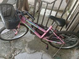 https://img.olx.com.br/thumbs256x256/55/559528754908494.jpg