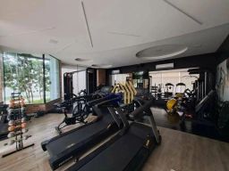 https://img.olx.com.br/thumbs256x256/55/559543150015677.jpg