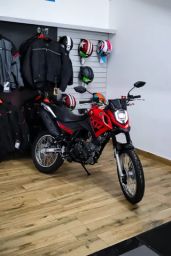 https://img.olx.com.br/thumbs256x256/56/560356344760406.jpg