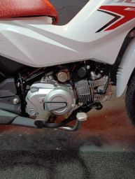 https://img.olx.com.br/thumbs256x256/56/560501609860939.jpg